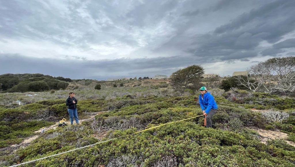 UCSC Interns Sara Layer and Kaitlyn Botros measure transects in Chaparral at Fort Ord Natural Reserve
