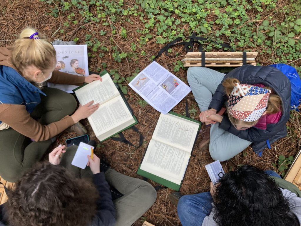 Botany students use a plant key on UCSC Campus Natural Reserve