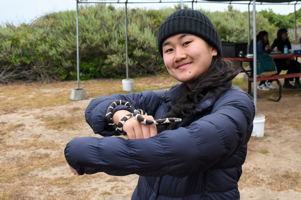 Serena Barasi, a graduate student in the UCSC Parker Lab, meets a king snake at Fort Ord Natural Reserve!
